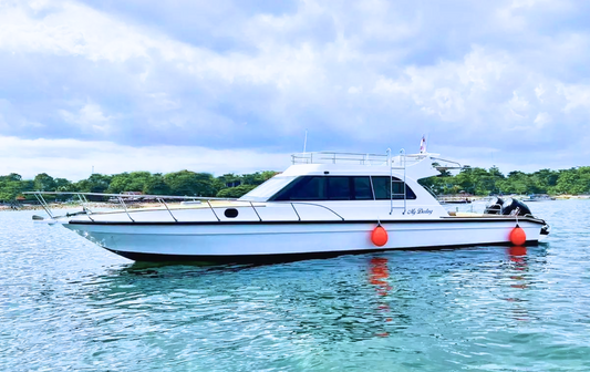 Private Speedboat Tour-Nusa Penida